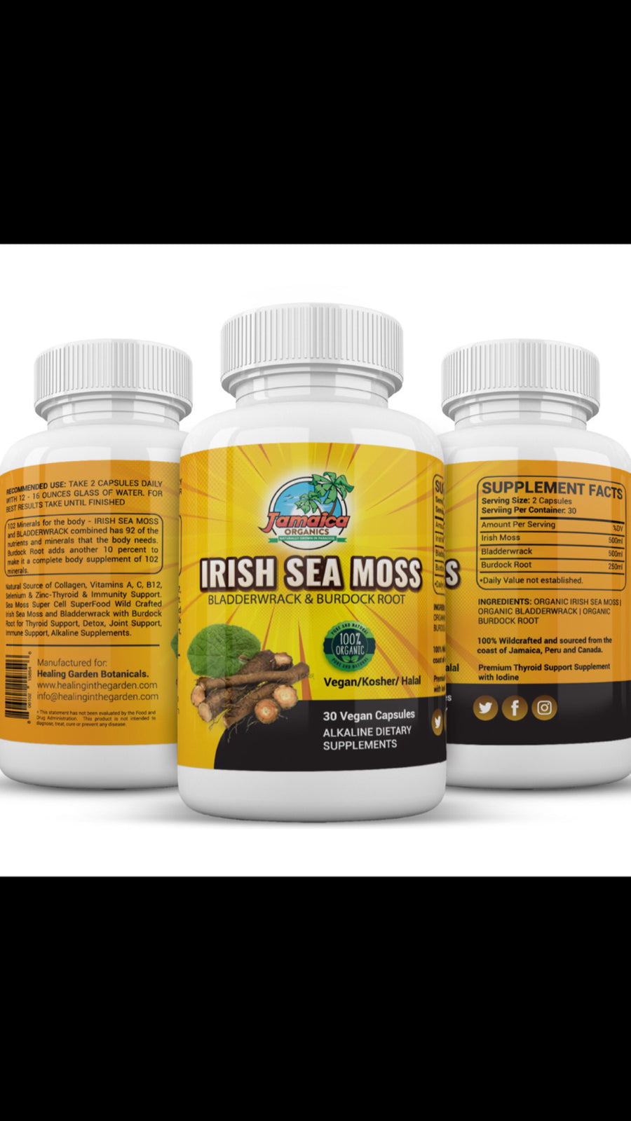 SEA MOSS | BLADDERWRACK | BURDOCK ROOT